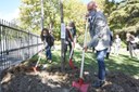 Bonaccini, Priolo e Pasquali a Bobbio piantano il primo dei 4,5 milioni di alberi.jpg