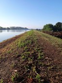 Cantieri Bondeno Taglio vegetazione.jpg