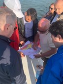 Mammi incontra i pescatori.jpg