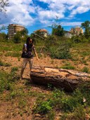 Sopralluogo assessore Priolo in Pineta Milano Marittima.jpg
