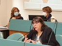 Salomoni2.jpg