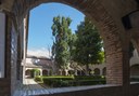 20_ Cipresso – Verucchio (RN), Convento di Santa Croce.jpg