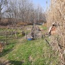 Lamone, luoghi degli interventi 1