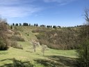 Foto Emilia orientale_Parco Gessi bolognesi_Dolina Spipola_autore Maria Vittoria Biondi