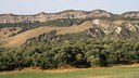 Foto Romagna_Parco Vena Gesso romagnola_autore Francesco Grazioli
