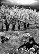 Foto: Dentro il verde. Area verde a Valliano, Montescudo (Rn) di Giancarlo Frisoni