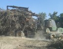Smaltimento legname flottante e vegetazione danneggiata_Forlì-Cesena
