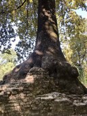 Farnia_Palazzo Ducale_Parma