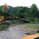 torrente_Olivetta_SassoMarconi