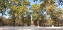 Foto - Parco Ducale, Parma - Foto Ghedini