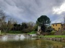 Rubicone/Savignano - briglia