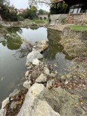 Rubicone/Savignano - difese spondali
