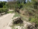 Torrente Pisciatello erosione