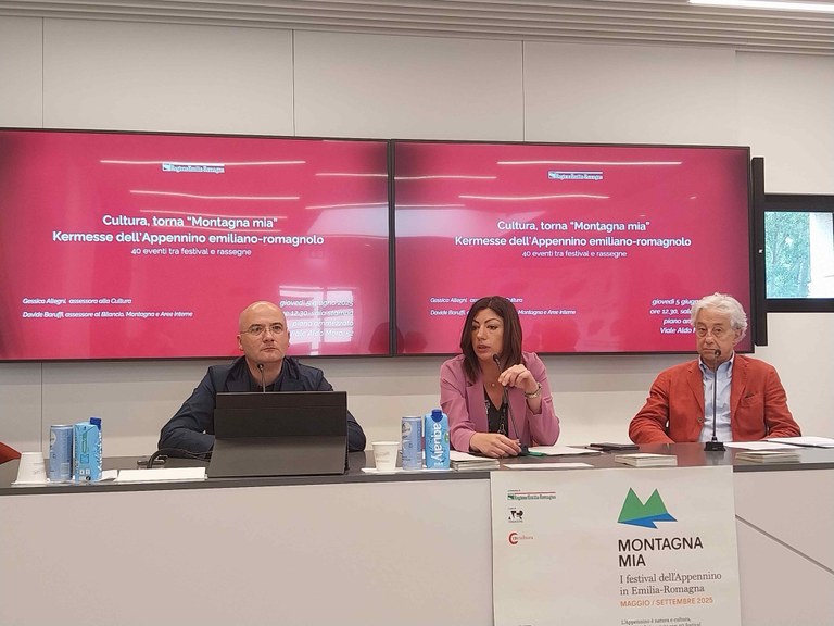 Foto - Immagine della conferenza stampa, da sx l'assessore Baruffi, l'assessora Allegni, il presidente Mingrone