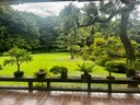 Incontro Ambasciata a Tokyo -6.jpeg