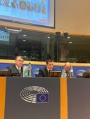 Foto - La plenaria 5.jpeg