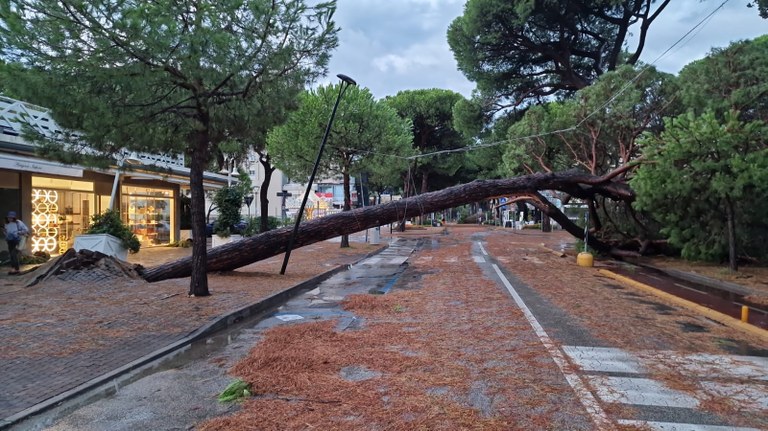 foto danni maltempo Romagna 2