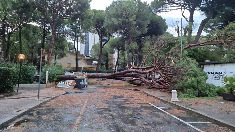 foto danni maltempo Romagna