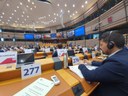 L'assessore Mammi a Bruxelles