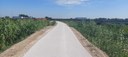 Montone.jpg