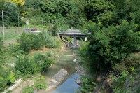 _DSC0310.jpg