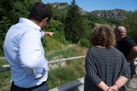 _DSC0775.jpg