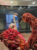 Foto - La mostra 4.jpeg