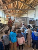 Parma - Comunità dei musei