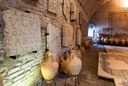 MAF - Museo Archeologico di Forlimpopoli Tobia Aldini.jpg