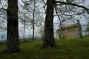 Riserva naturale dei Ghirardi 4.jpeg