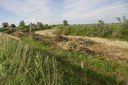 _DSC3484.jpg