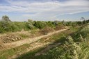 _DSC3488.jpg