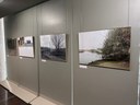 mostra 3